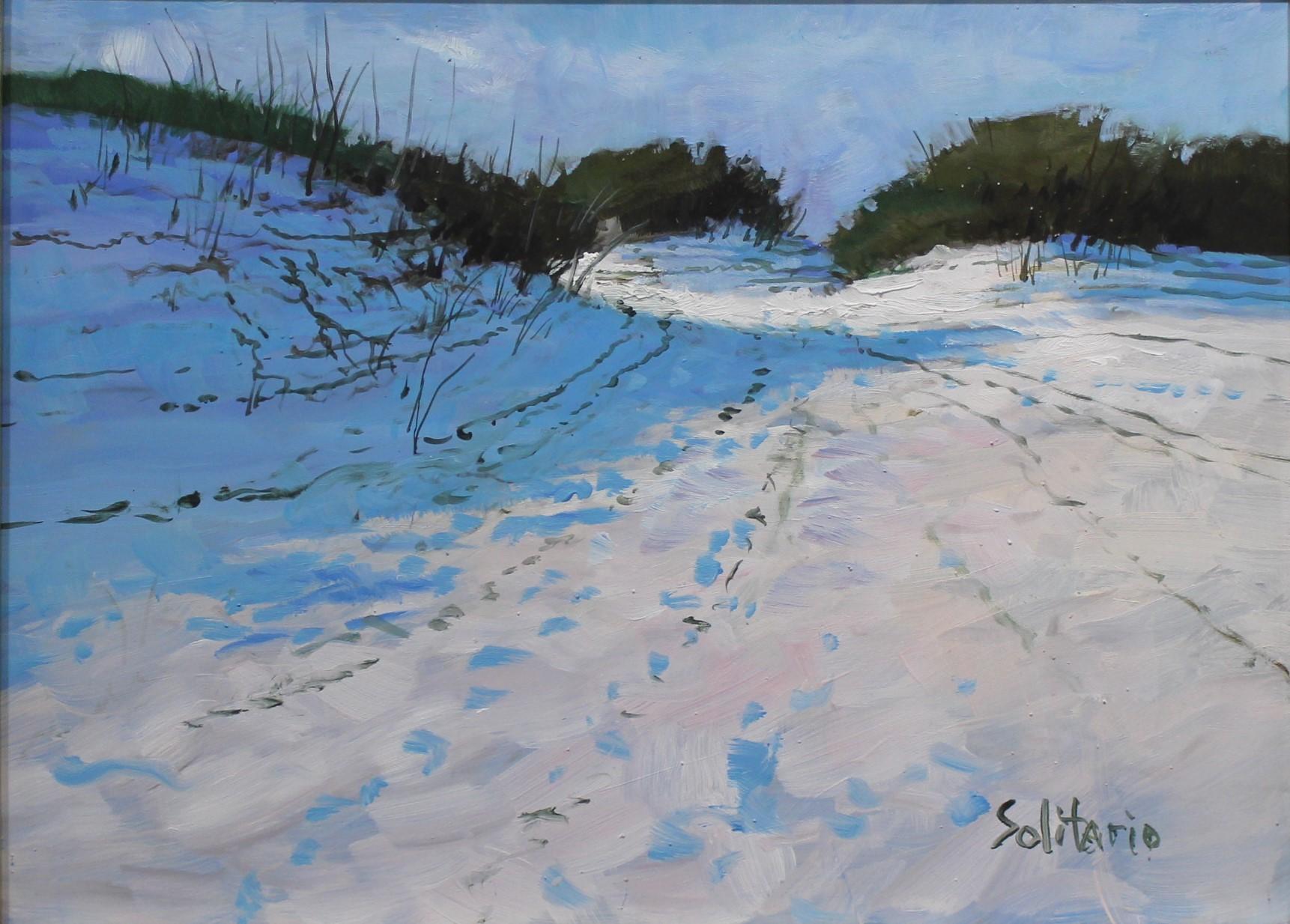 Billy Solitario Landscape Painting - Path Through the Dunes