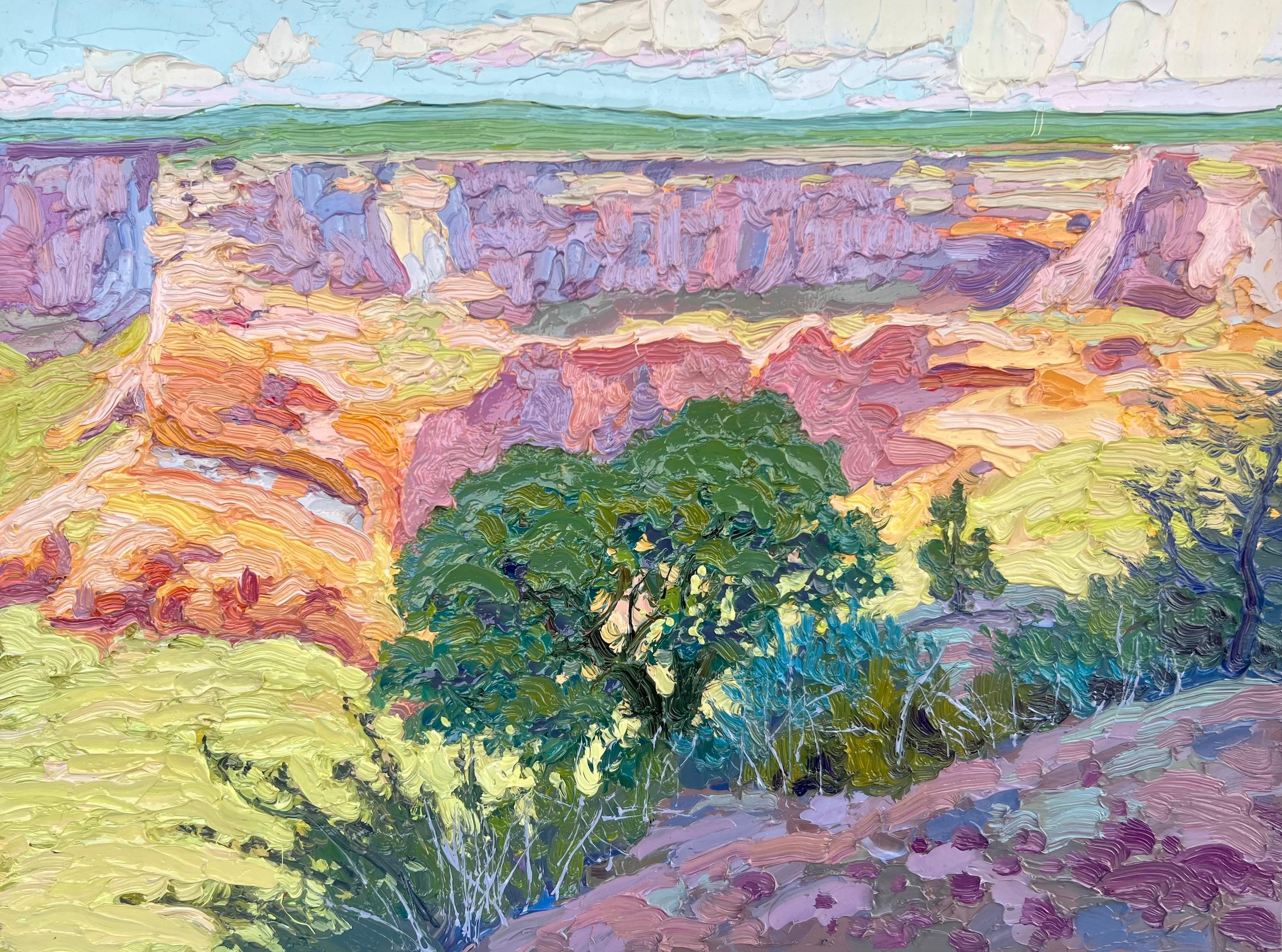 "Canyon de Chelly Shade" (2024) By Billyo O'Donnell, Original Oil Landscape