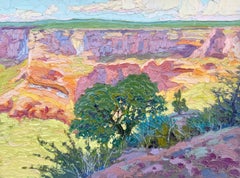 "Canyon de Chelly Shade" (2024) di Billyo O'Donnell, Paesaggio originale ad olio