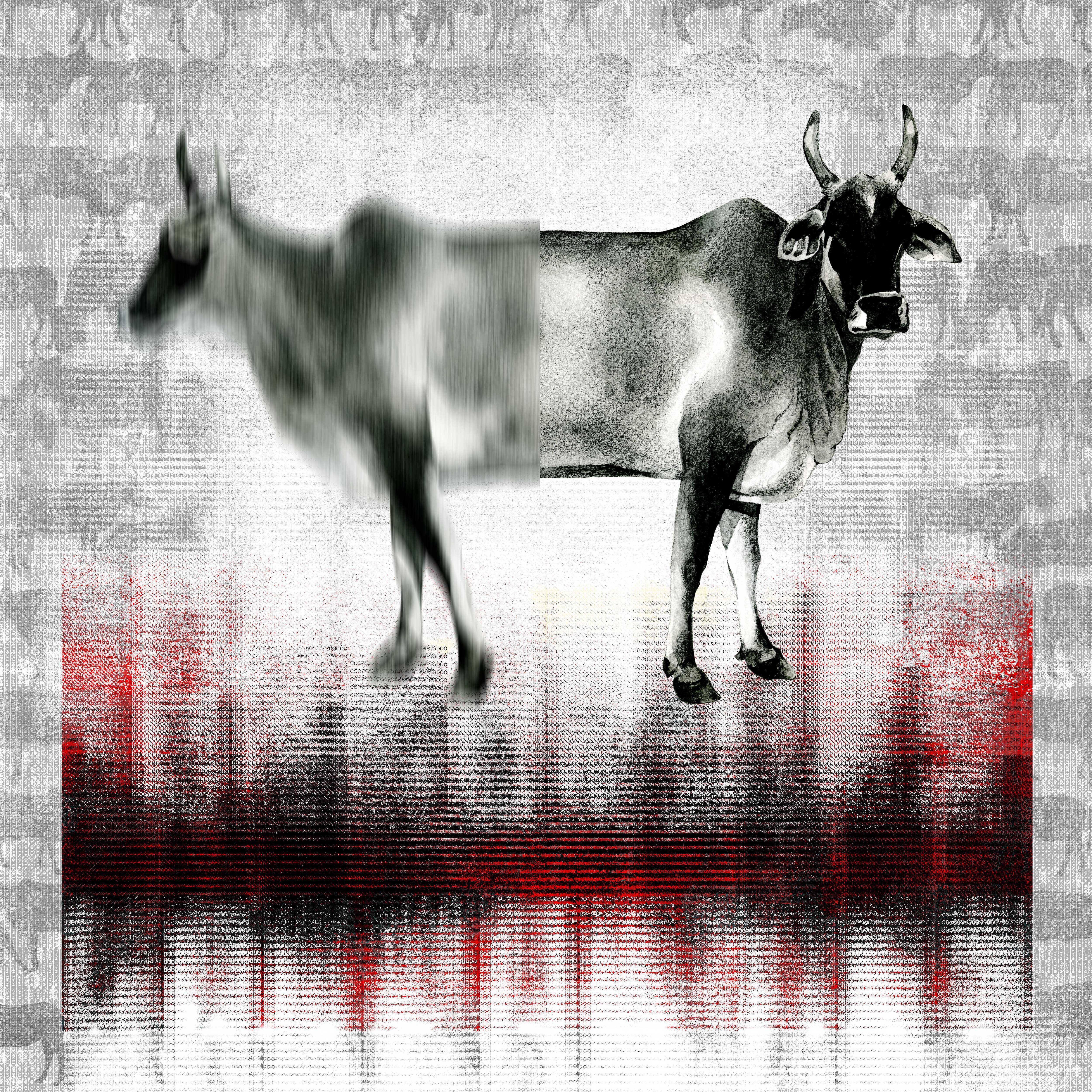 Binay Sinha Animal Print - The Holy Cow - Contemporary Digital Print on Paper Black + Red + Grey + White