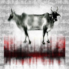The Holy Cow - Impression numérique contemporaine sur papier Noir + Rouge + Gris + Blanc