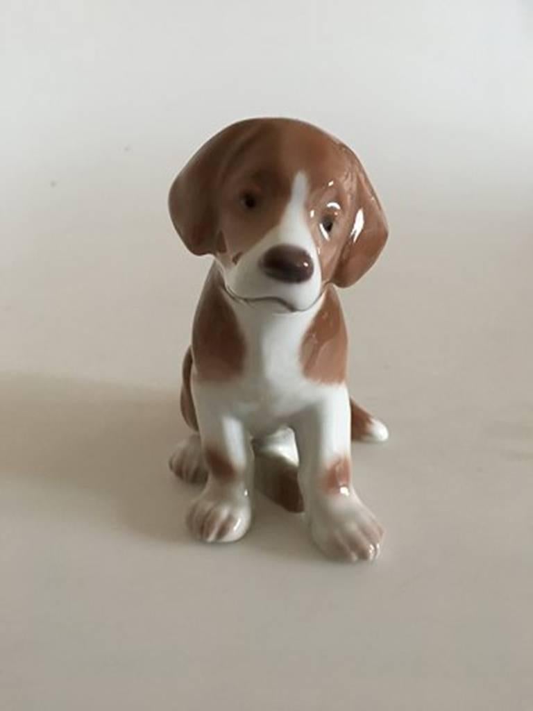Bing & Grondahl figure of dog #1921. 1st quality. In perfect whole condition. This figurine has a warmer and more golden color than the other we have listed for sale. Measures: 12.5 cm H. (4 59/64 in).