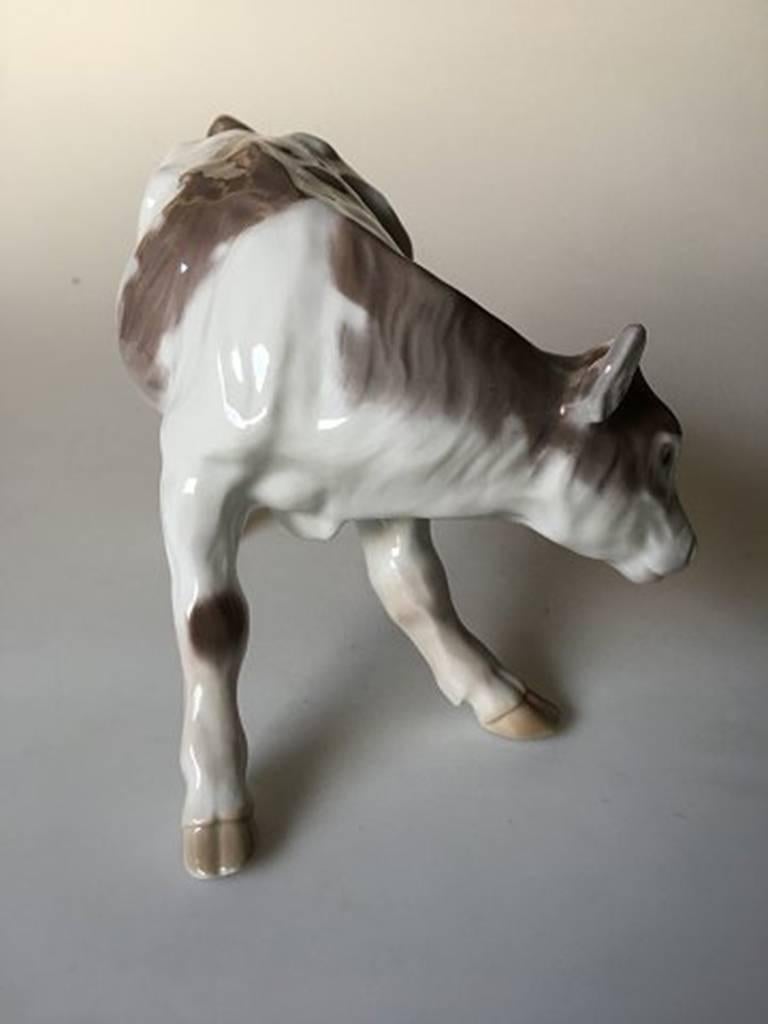Bing & Grondahl figurine calf #1826. Measures 14cm x 18cm and is in good condition. Designed by Knud Kyhn.