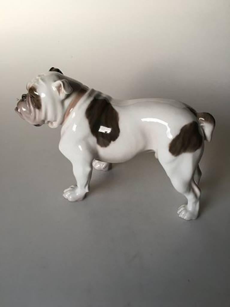 Bing & Grondahl figurine English bulldog #2110. Measures: 16 cm x 24 cm. Is a first and in perfect condition.