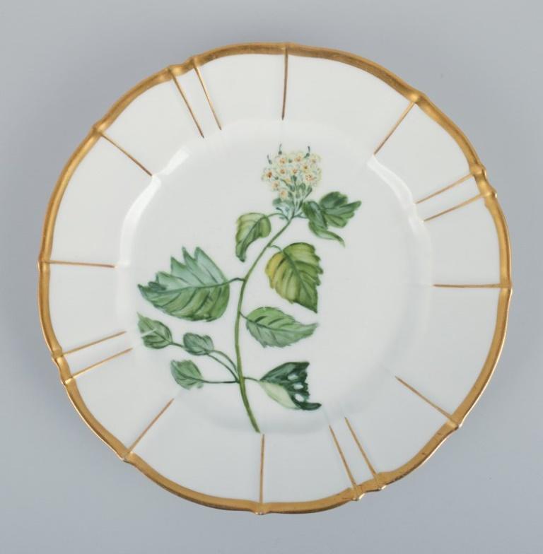 Hand-Painted Bing and Grøndahl, Four Porcelain Plates in Flora Danica Style