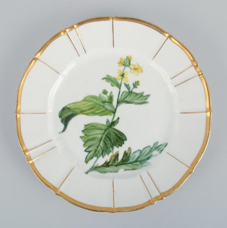Bing and Grøndahl, Four Porcelain Plates in Flora Danica Style 1