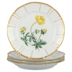 Bing and Grøndahl, Four Porcelain Plates in Flora Danica Style