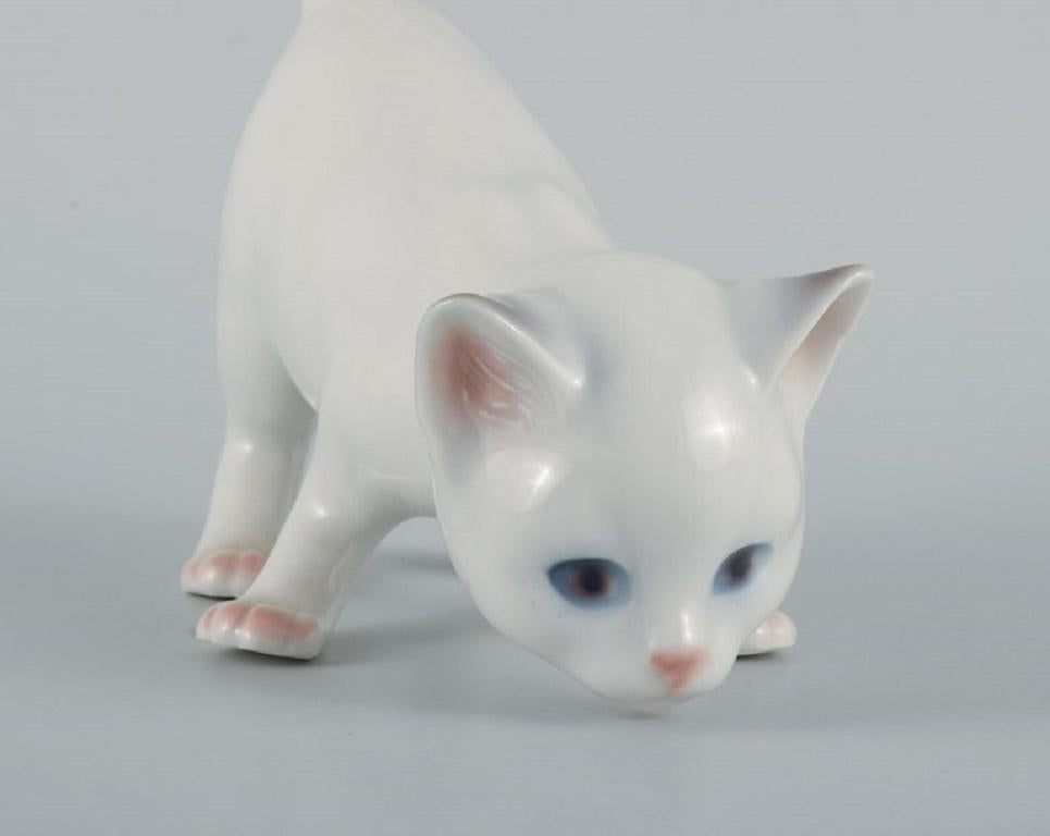 20th Century Bing and Grøndahl, kitten in porcelain. Mid-20th century.