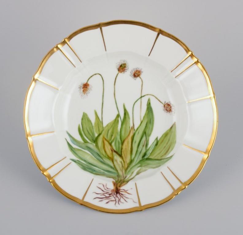 Bing and Grøndahl, two deep porcelain plates in Flora Danica style with gold decoration.
Hand-painted with Flora Danica motifs. 
1933.
In excellent condition.
Marked.
Second factory quality.
Measurements: D 24.0 x 4.5 cm.