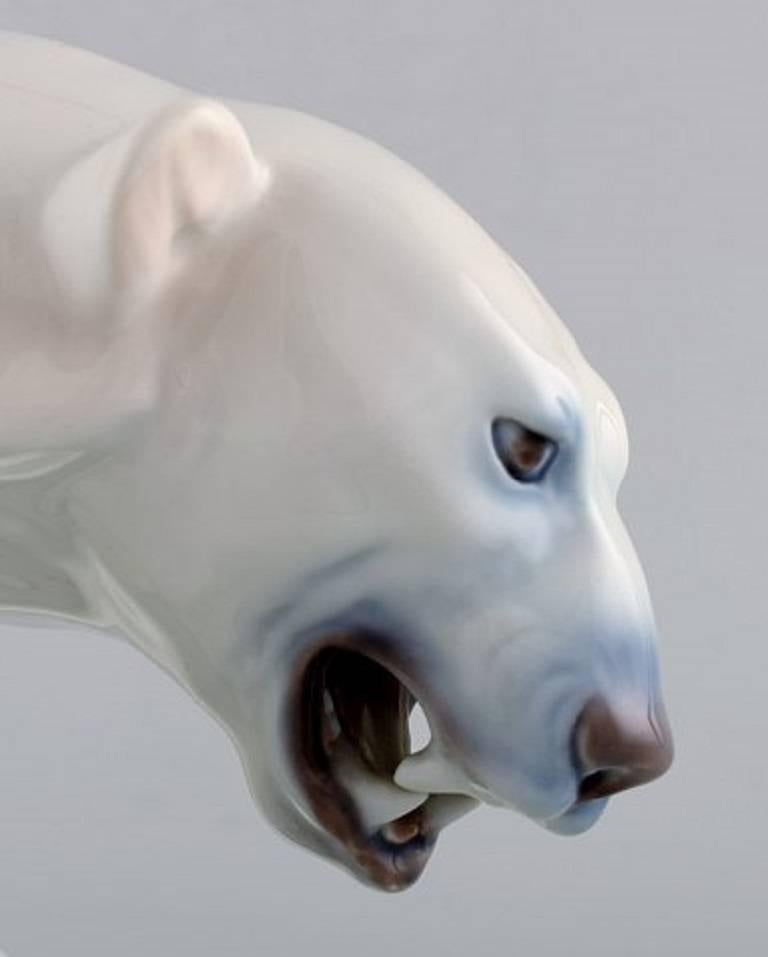 bing polar bear