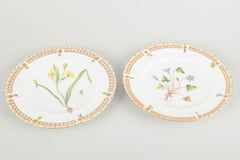 Bing & Grøndahl, Denmark. Two porcelain lunch plates in “Flora Danica” style.