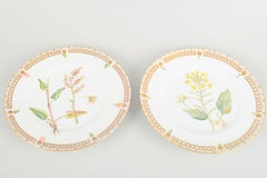 Bing & Grøndahl, Denmark. Two porcelain lunch plates in “Flora Danica” style.