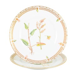 Bing & Grøndahl, Denmark. Two porcelain lunch plates in “Flora Danica” style.