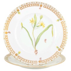 Bing & Grøndahl, Denmark. Two porcelain lunch plates in “Flora Danica” style.