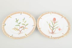 Bing & Grøndahl Denmark. Two porcelain lunch plates, “Flora Danica” style, 1920s