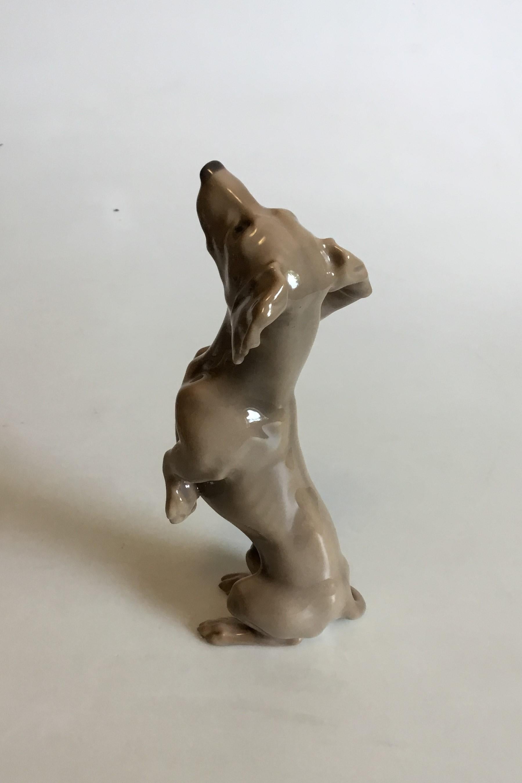 Bing & Grøndahl figurine dachshund begging no 1603. Measures 19 cm / 6 11/16 in. and is in good condition.