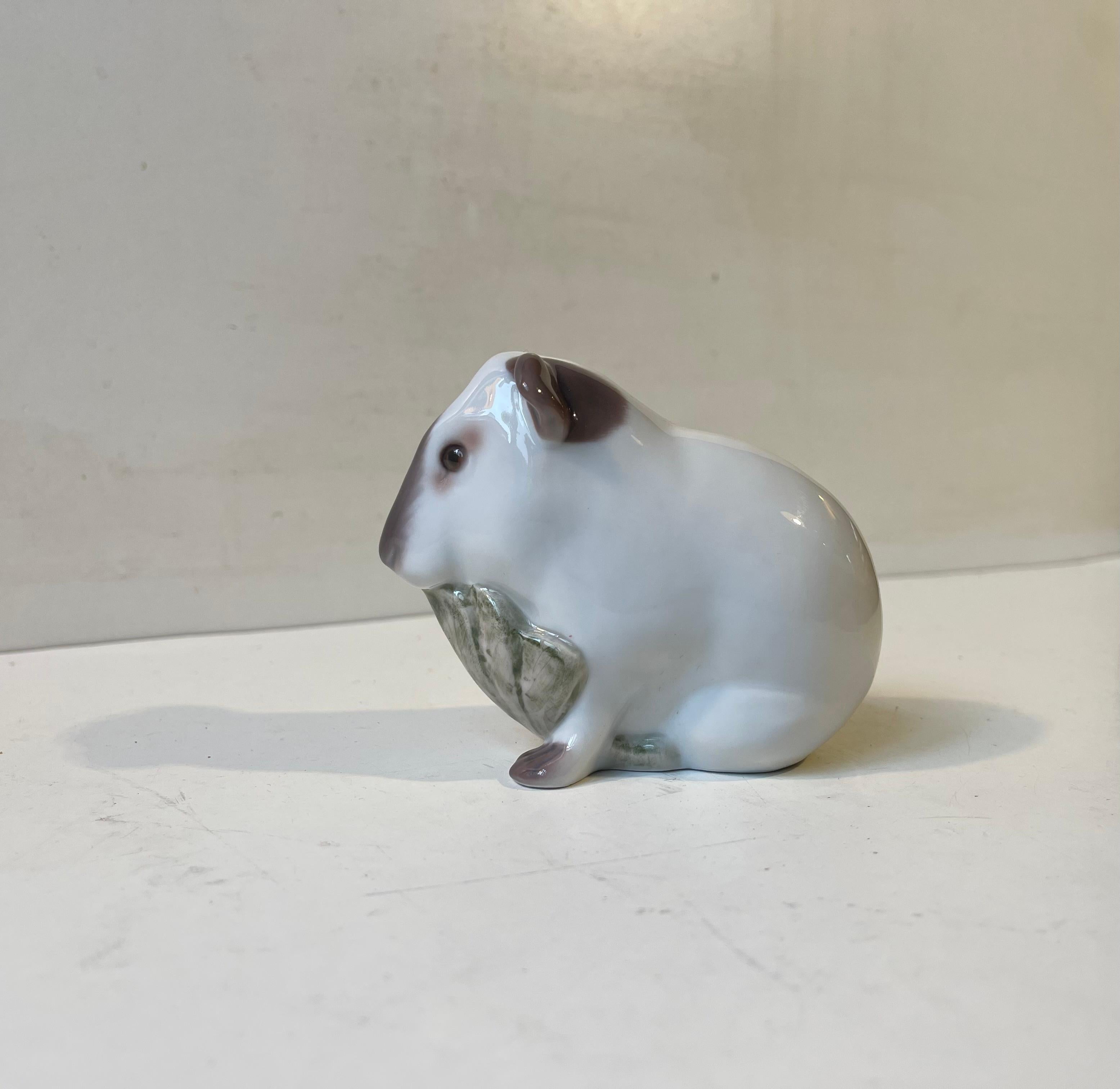 Naturalistically glazed Guinea Pig in porcelain by Bing & Grondahl in Denmark. Based upon a antique dessin this particular example was made circa 1970-80. Decoration number 2489. The condition is wellkept, clean and intact. Measurements: 11/8/6 cm.