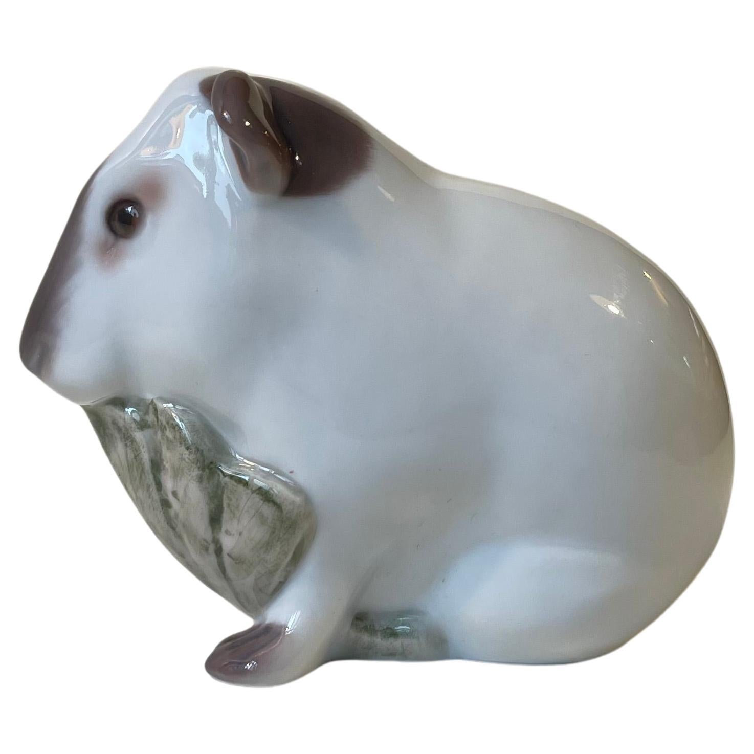 Bing & Grøndahl Guinea Pig Figurine in Glazed Porcelain For Sale