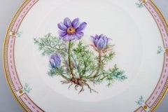 Bing & Grøndahl Plate in Hand-Painted Porcelain with Flowers and Gold Decoration