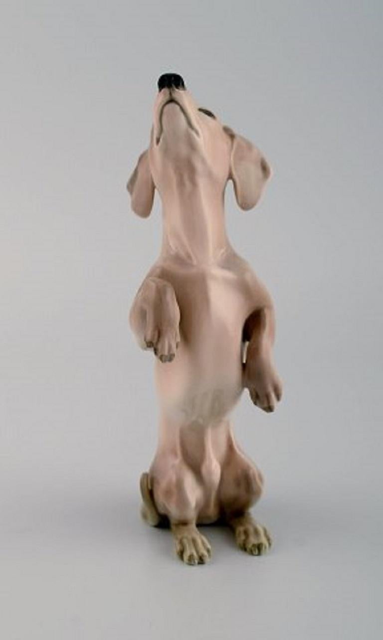 Bing & Grøndahl porcelain figure. Begging dachshund. Model number 1603, 1920s.
Measures: 19 x 7.5 cm.
In excellent condition.
Stamped.
1st factory quality.
 