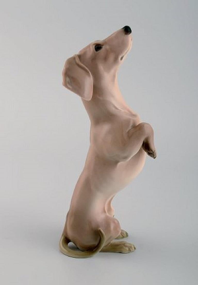 Danish Bing & Grøndahl Porcelain Figure, Begging Dachshund, 1920s