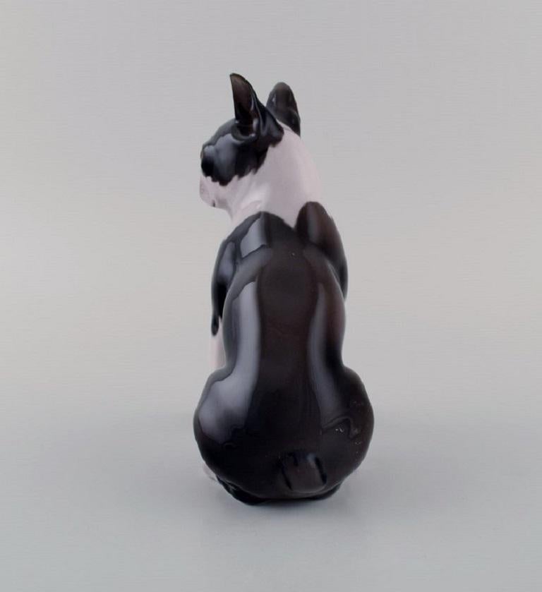 Bing & Grøndahl Porcelain Figure, Boston Terrier, 1970s In Excellent Condition In Copenhagen, DK