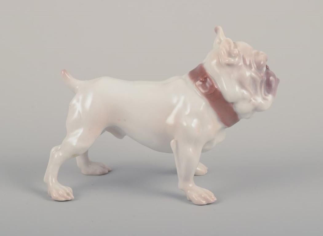 Danese Bing & Grøndahl, statuetta in porcellana di un Bulldog. 1930 circa in vendita
