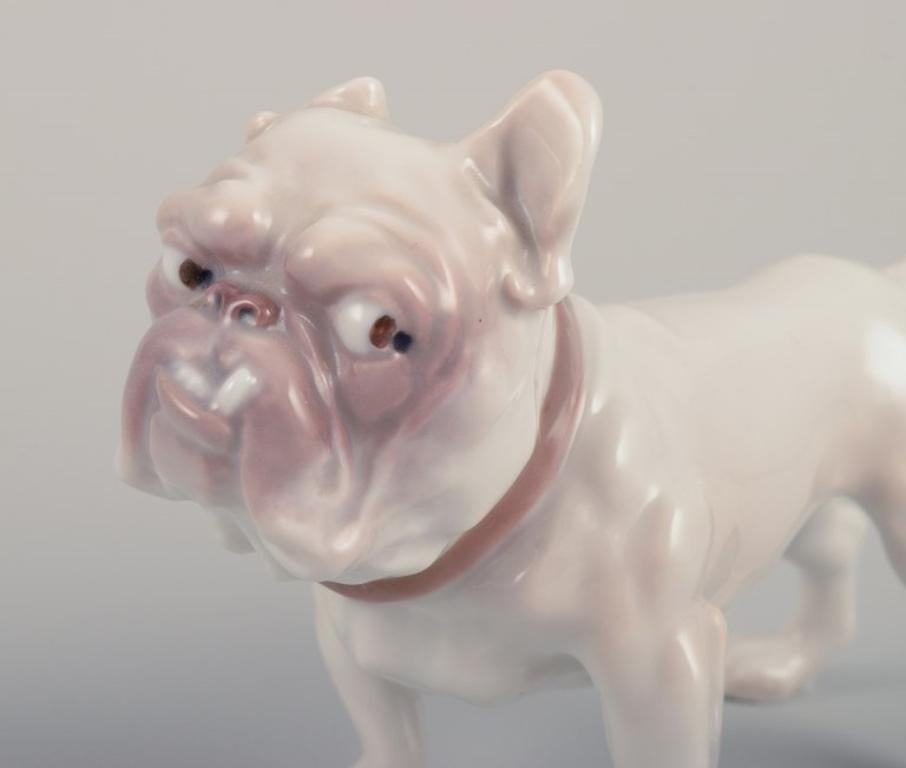 Bing & Grøndahl, statuetta in porcellana di un Bulldog. 1930 circa In condizioni ottime in vendita a Copenhagen, DK
