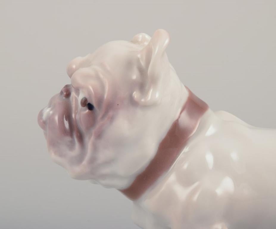 Metà XX secolo Bing & Grøndahl, statuetta in porcellana di un Bulldog. 1930 circa in vendita