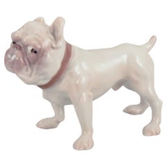 Bing & Grøndahl, porcelain figurine of a Bulldog. Ca 1930