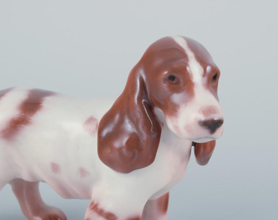 Bing & Grøndahl, porcelain figurine of a Cocker Spaniel.
Model number 2172.
Approximately from the 1930s.
First factory quality.
Perfect condition.
Marked.
Dimensions: Height 8.0 cm x Length 11.0 cm.