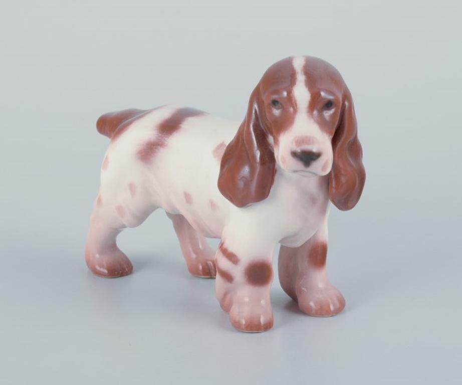 Danish Bing & Grøndahl, porcelain figurine of a Cocker Spaniel.  For Sale