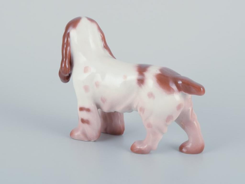 Glazed Bing & Grøndahl, porcelain figurine of a Cocker Spaniel.  For Sale