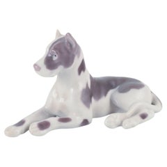 Animal Sculptures