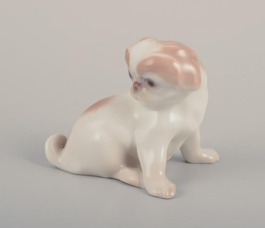 Bing & Grøndahl, Porzellanfigur eines Pekinesenwelpen.
Modell 1987.
Ungefähr ab 1930.
Erste Fabrikqualität.
Perfekter Zustand.
Markiert.
Abmessungen: L 6,0 cm x H 5,0 cm.
