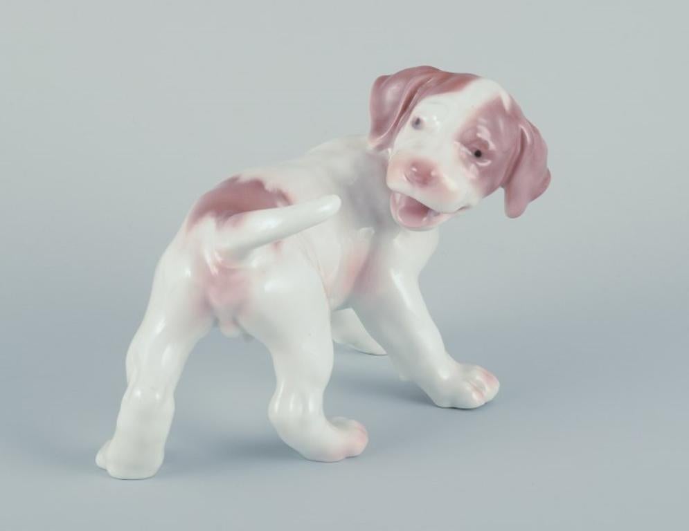 Bing & Grøndahl, porcelain figurine of a pointer puppy.
Model number 2026.
Designed by Lauritz Jensen.
Approximately from the 1960s.
First factory quality.
Perfect condition.
Marked.
Dimensions: Height 11.0 cm x Length 17.5 cm.