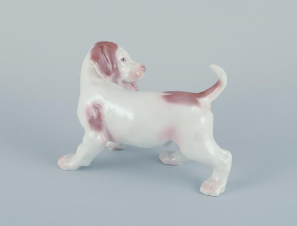 Danois Bing & Grøndahl, figurine en porcelaine d'un chiot pointer.  en vente