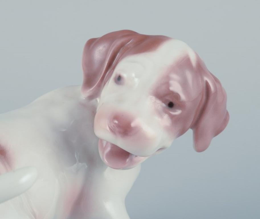 Glazed Bing & Grøndahl, porcelain figurine of a pointer puppy.  For Sale
