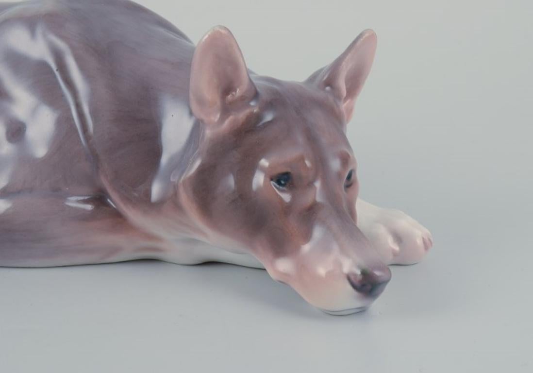 Statuetta in porcellana di Bing & Grøndahl raffigurante un pastore tedesco sdraiato.
Circa 1930.
Model: 1789.
Prima qualità di fabbrica.
In perfette condizioni.
Dimensioni: Lunghezza 23,0 cm x Profondità 13,0 cm x Altezza 6,0 cm.
