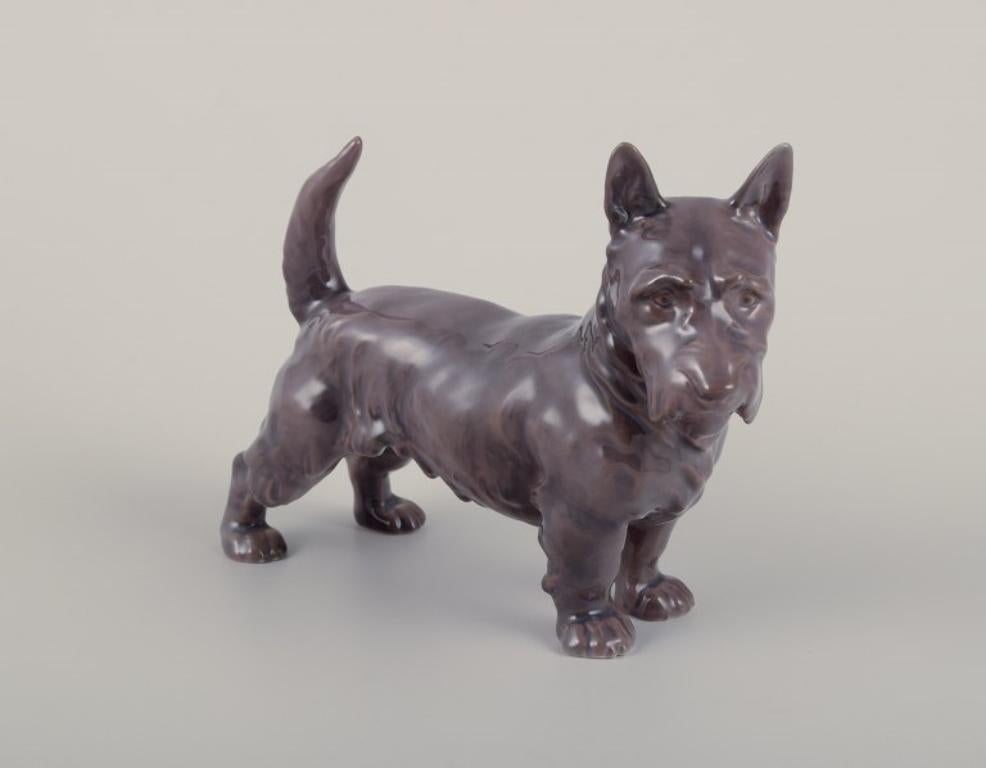 Bing & Grøndahl, porcelain figurine of a Scottish Terrier.
Model number 2117.
Approximately from the 1930s.
Marked.
Second factory quality. Minimal glaze bubbles on the back of the left ear.
Perfect condition.
Dimensions: L 18.0 cm x H 13.5 cm.