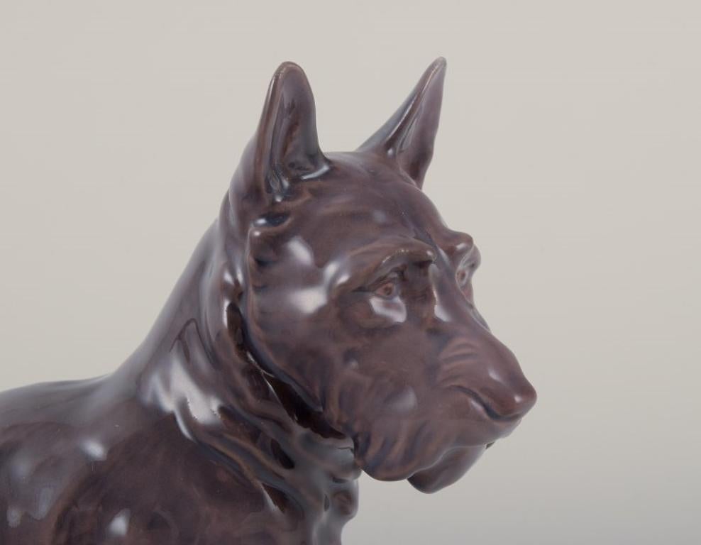 Glazed Bing & Grøndahl, porcelain figurine of a Scottish Terrier. 1930s For Sale