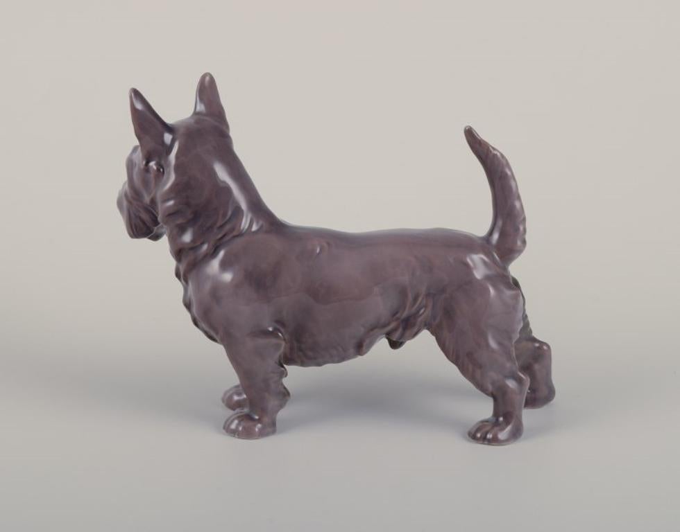 Bing & Grøndahl, porcelain figurine of a Scottish Terrier. 1930s In Excellent Condition For Sale In Copenhagen, DK