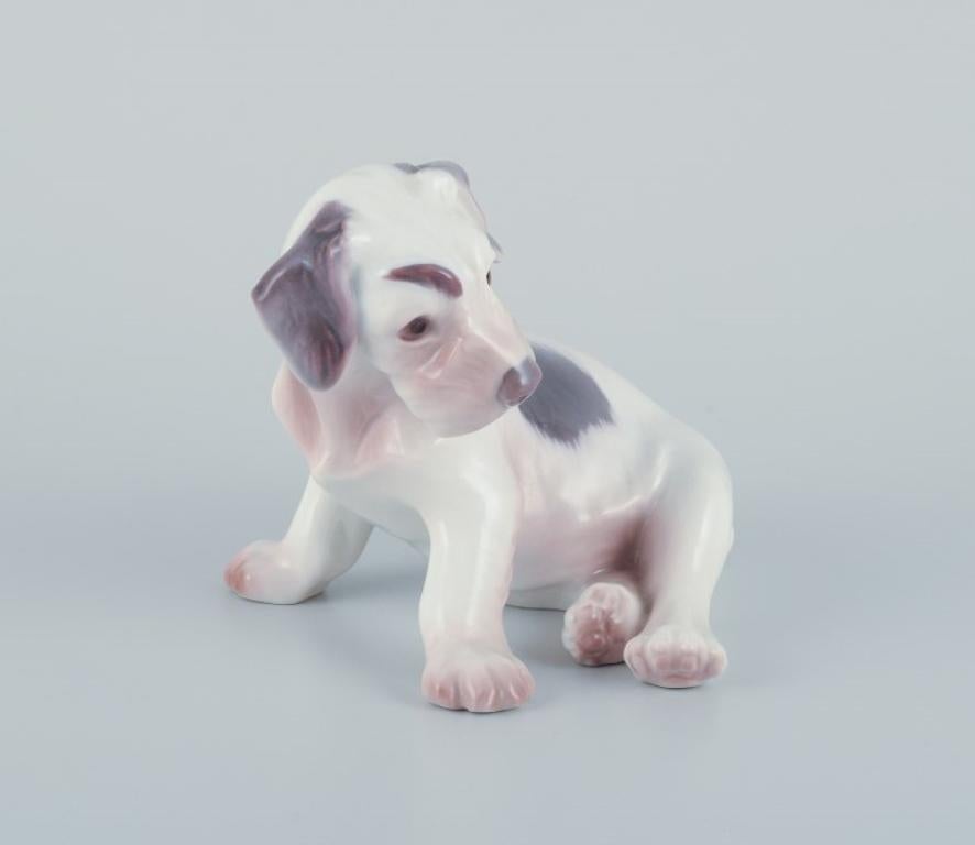 Bing & Grøndahl, figurine en porcelaine représentant un chiot Sealyham Terrier.
Numéro de modèle 2027.
Années 1920/30.
Première qualité d'usine.
Parfait état.
Marqué.
Dimensions : Hauteur 9,0 cm x Longueur 13,5 cm : Hauteur 9,0 cm x Longueur 13,5 cm.