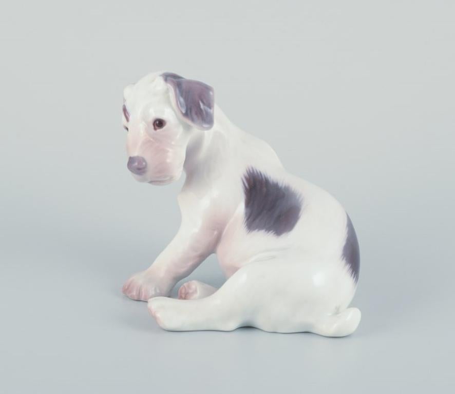 Vernissé Bing & Grøndahl, figurine en porcelaine représentant un chiot Sealyham Terrier.  en vente