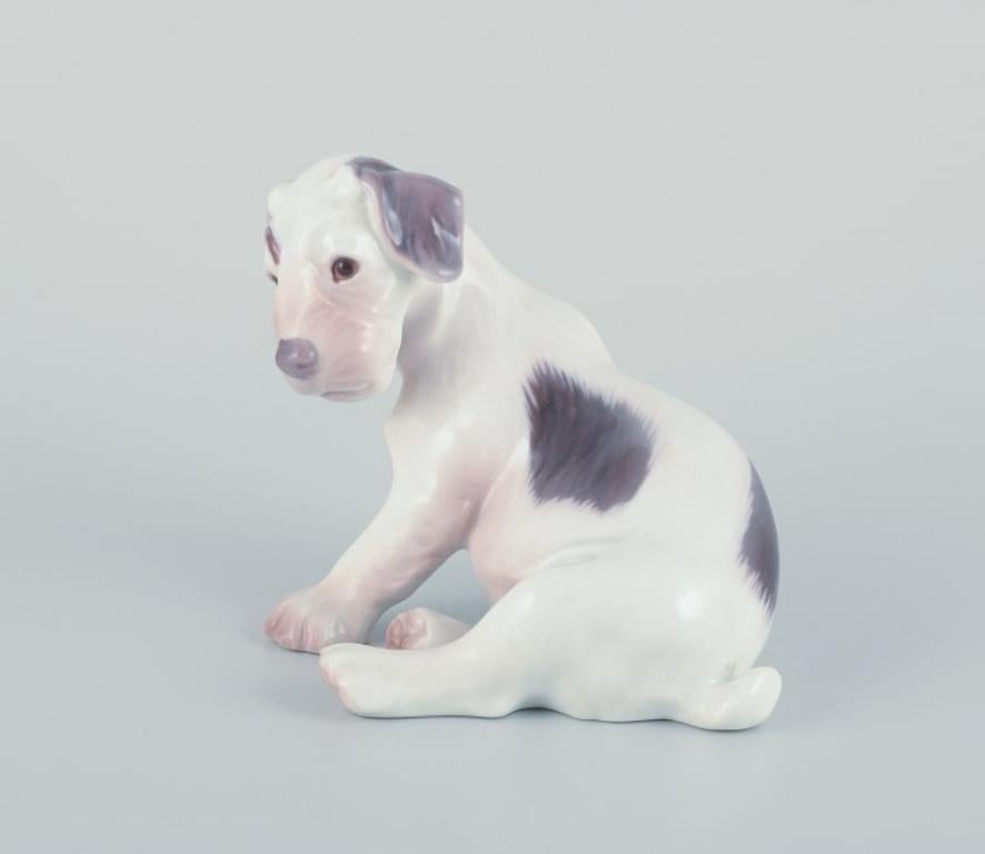 Danish Bing & Grøndahl, porcelain figurine of a Sealyham Terrier puppy. For Sale