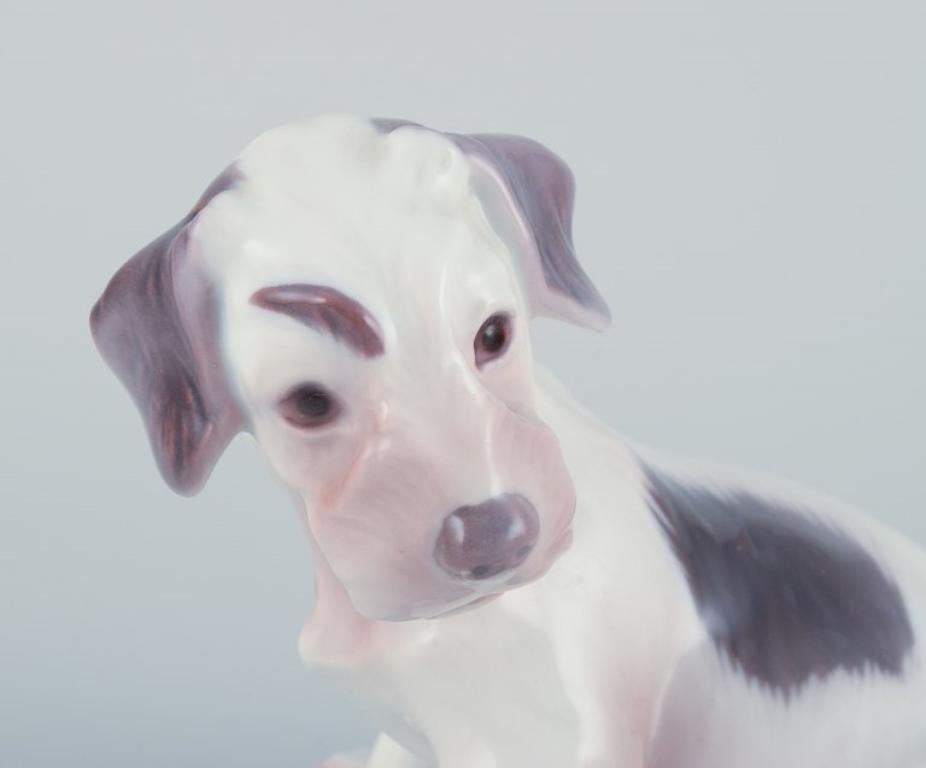 Glazed Bing & Grøndahl, porcelain figurine of a Sealyham Terrier puppy. For Sale