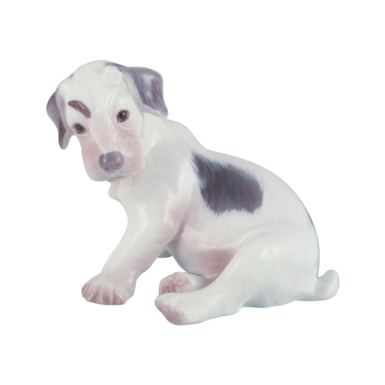 Bing & Grøndahl, porcelain figurine of a Sealyham Terrier puppy.