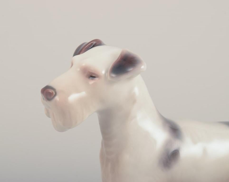Bing & Grøndahl, figura de porcelana de un Wire Fox Terrier.
Model No. 2072.
Aproximadamente desde 1930.
Primera calidad de fábrica.
Perfecto estado.
Marcado.
Dimensiones: A 9,0 cm x L 11,0 cm.