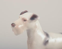 Bing & Grøndahl, porcelain figurine of a Wire Fox Terrier. 1930s