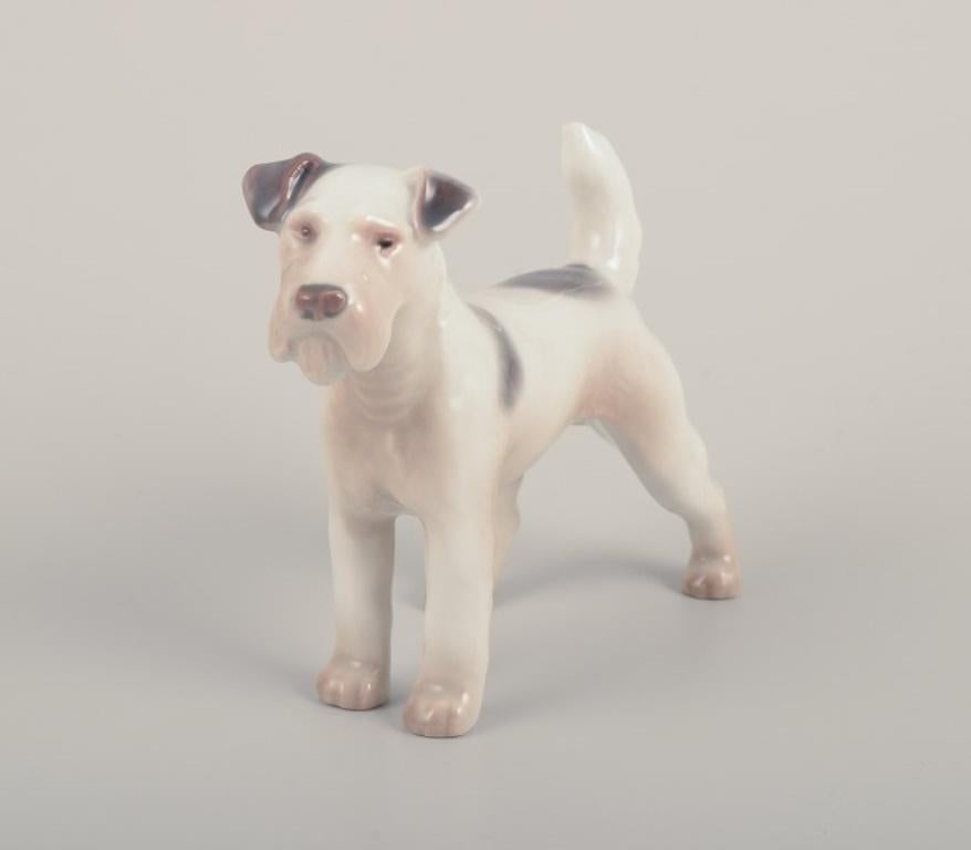 Bing & Grøndahl, figura de porcelana de un Wire Fox Terrier. 1930s Danés en venta